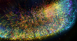 此為轉基因小鼠的海馬體部份，透過螢光處理而顯示出神經細胞的分佈。