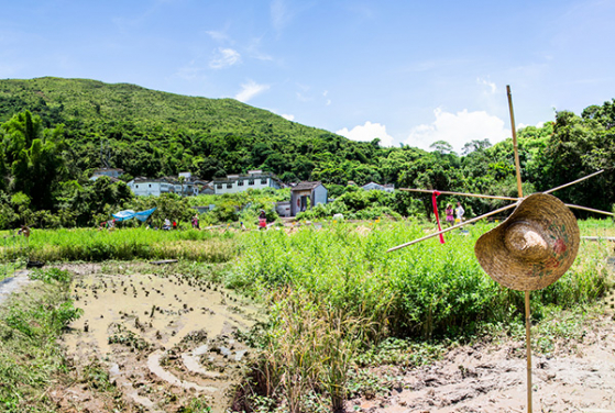 鄉郊村落中的景觀是村民與大自然互動的結果，也是「里山」概念的範例。(相片來源 : 策動永續發展坊)