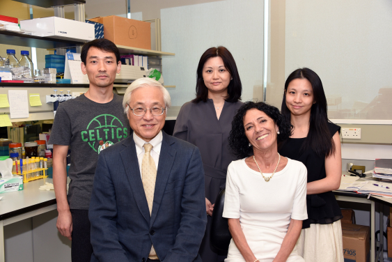Team members for the research included (back row, from left) Dr Peng Li, Dr Elly Ngan, Dr Clara Tang, (front row, from left) Prof Paul Tam and Dr Maria-Mercedes Garcia-Barcelo.