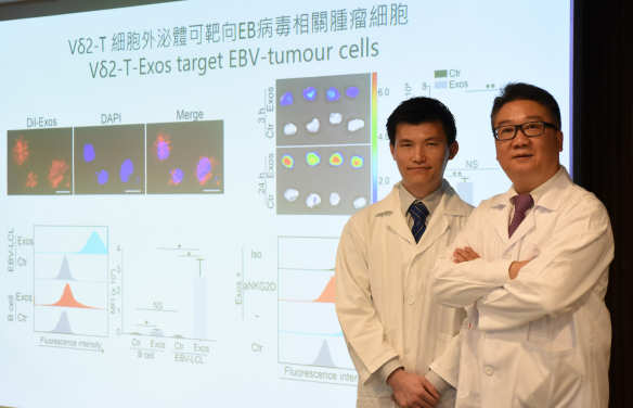 HKUMed develops a novel therapeutic approach against Epstein-Barr virus-associated tumours by using exosomes derived from Vδ2-T cells.  The research was led by Professor Tu Wen-wei, Antony and Nina Chan Professor in Paediatric Immunology, Department of Paediatrics and Adolescent Medicine, HKUMed (right) and Dr Wang Xi-wei, post-doctoral fellow of Professor Tu’s team (left), is the first author.
 