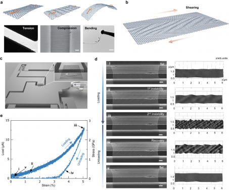 圖一： 懸空單層石墨烯的失穩行為。比例尺：a 1 μm, 500 nm, 200 nm, and d 1 μm。
 