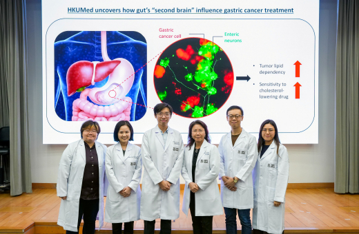 HKUMed cracks gastric cancer’s ‘metabolic code’: Tumour growth slowed by 65%, plus a 6.3-fold kill rate with cholesterol inhibitors in neuron-infiltrated cases
